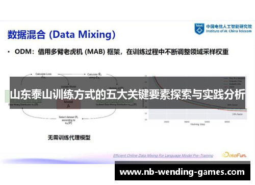 山东泰山训练方式的五大关键要素探索与实践分析