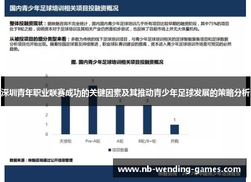 深圳青年职业联赛成功的关键因素及其推动青少年足球发展的策略分析