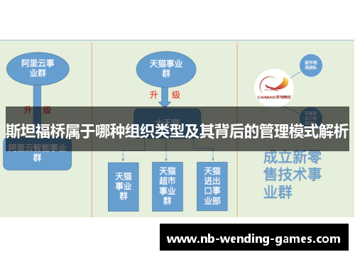 斯坦福桥属于哪种组织类型及其背后的管理模式解析