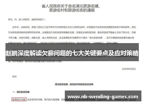 赵鹏深度解读欠薪问题的七大关键要点及应对策略