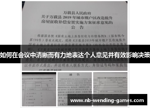 如何在会议中清晰而有力地表达个人意见并有效影响决策