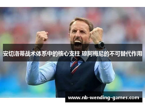 安切洛蒂战术体系中的核心支柱 琼阿梅尼的不可替代作用